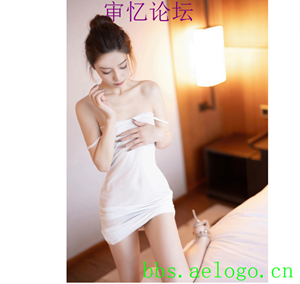 审忆国内